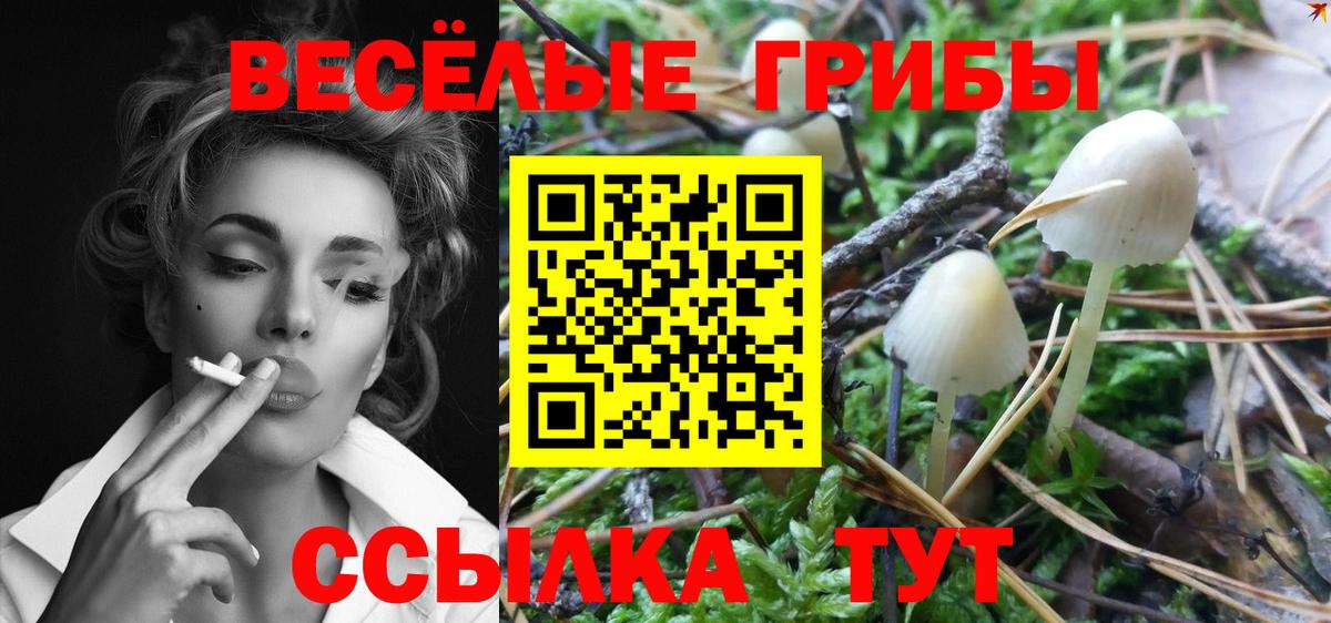 Псилоцибиновые грибы ЛСД  Вход с VPN  Галлюциногенные грибы MAGIC MUSHROOMS  Долгопрудный 