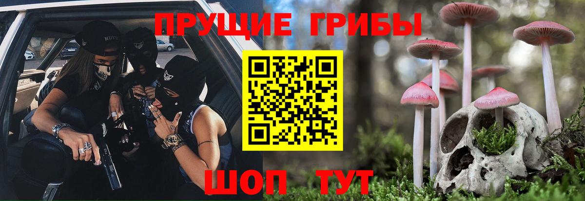 Галлюциногенные грибы мухоморы Долгопрудный
